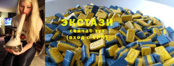 ECSTASY Богданович